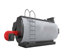 steam boiler manufacturer